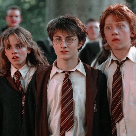 Harry Potter Trio, Ron Y Hermione, Harry Hermione Ron, The Golden Trio, Harry Potter Ron And Hermione, Ron Weasley Hermione Granger, Ron And Harry, Harry Porter, Harry Potter Ron Weasley