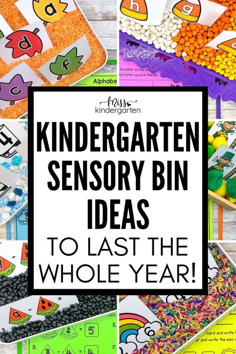 Six seasonal sensory bins Sensory Bins For Kindergarten, Transitional Kindergarten Classroom, Special Education Centers, Kindergarten Sensory, Sensory Classroom, Sensory Bin Ideas, Toddler Sensory Bins, Sensory Tubs, Miss Kindergarten