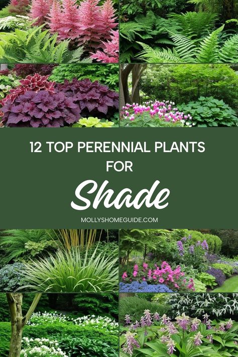 Discover a stunning array of shade-loving perennials that will thrive in your garden. From the best perennial plants for shade to long-blooming varieties, these beautiful options are perfect for shady gardens. Explore tough plants for dry shade and perennials that do well in heavy clay soil. Create a breathtaking shade garden with our selection of mind-blowing plants that flourish even in the shadiest spots. Shadow Garden Ideas, Shady Outdoor Plants, Shade Garden Ideas Side Of House, Landscaping Along Fence Shade, Shade Hosta Garden, Hillside Shade Garden, Colourful Shade Garden, Hasta Gardens, Shade Loving Hydrangeas