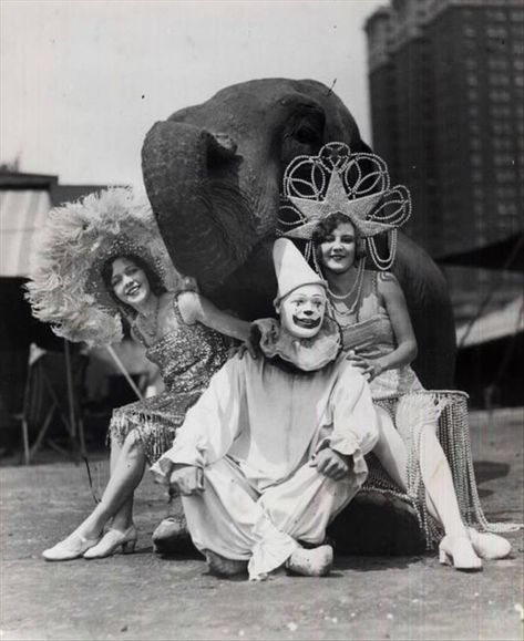 Some of the best "old school" circus photos you will ever see. Pantomime, Vintage Circus Photos, Cirque Vintage, Old Circus, Pierrot Clown, Circus Aesthetic, Circus Sideshow, Dark Circus, Circus Elephant