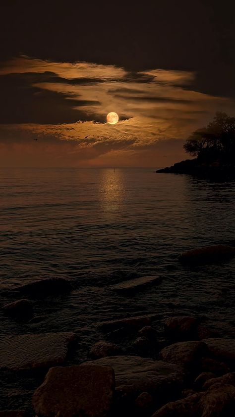 lovethenature95 on Instagram Moon Pictures Wallpaper, Nature Profile Pictures, Night Scenery Aesthetic, Profile Picture Nature, Aesthetic Nature Pics, Profile Pictures For Instagram, Peace Background, Peaceful Wallpaper, Land Aesthetic