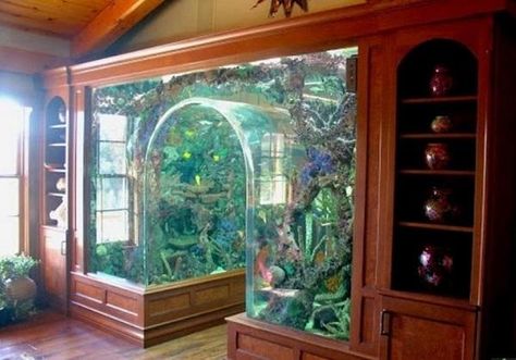 WOW!  Unusual Built In Aquariums Adding Beautiful Green Ideas to Home Decorating Aquarium Diy, Amazing Aquariums, Cool Fish Tanks, Saltwater Fish Tanks, Trim Ideas, Indoor Ideas, Diy Aquarium, Home Aquarium, Cool Fish