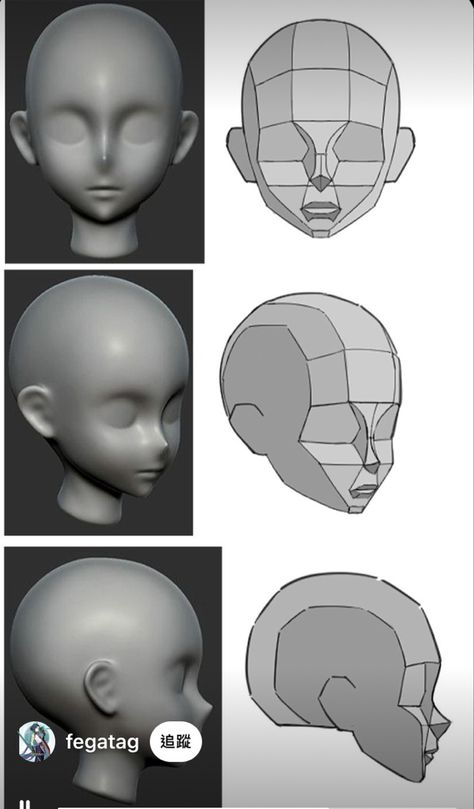 Anime Face Reference, Face Reference Female, Facial Planes, Face Topology, Blender Character Modeling, Head Anatomy, Sculpting Tutorials, Zbrush Tutorial, Anatomy Sculpture