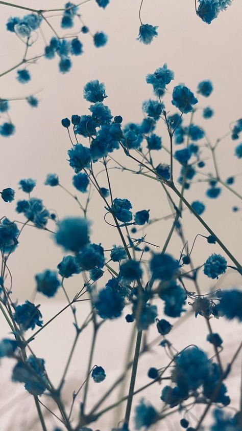 Blue Flower Aesthetic Wallpaper, The Best Wallpapers, Blue Flower Wallpaper, Iphone Wallpaper Landscape, Best Wallpapers, Witchy Wallpaper, Pretty Phone Wallpaper, Floral Wallpaper Phone, Pure Energy