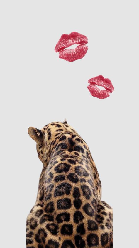 Leaped Print Wallpaper, Leopard Wallpaper Aesthetic, Vogue Wallpaper, Leopard Print Wallpaper, Cheetah Print Wallpaper, Cute Pregnancy Pictures, Cute Lockscreens, Cute Summer Wallpapers, Iphone Wallpaper Pattern