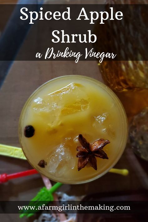 A spiced apple shrub is the perfect way to incorporate a shrub drink into the preserving schedule. Once Fall hits apple beverages are the first items which need to be preserved. This shrub drink will make the perfect cocktail any time of the year. Enjoy it! #apple #appleshrub #drinkingvinegar #applebeverage #applecocktail Apple Cider Vinegar Shrub, Fall Shrub Drink, Shrub Drink Recipes, Shrubs Drink, Apple Shrub Recipe, Apple Shrub, Shrub Drink, Fruit Shrub, Shrub Recipe