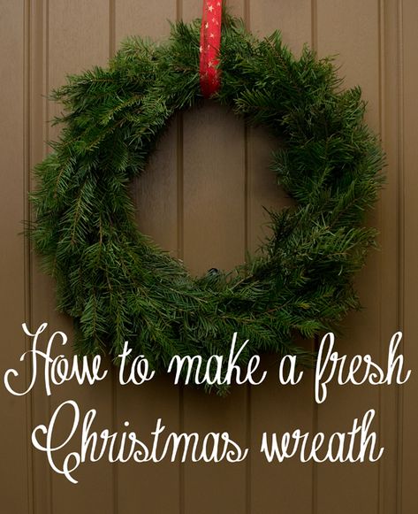 How to Make a Live Christmas Wreath Tutorial! From overthebigmoon.com! Live Christmas Wreath, Live Christmas Wreaths, Real Christmas Wreaths, Crockpot Christmas, Christmas Reef, Homemade Christmas Wreaths, Fresh Christmas Wreath, Living Wreath, Homemade Wreaths