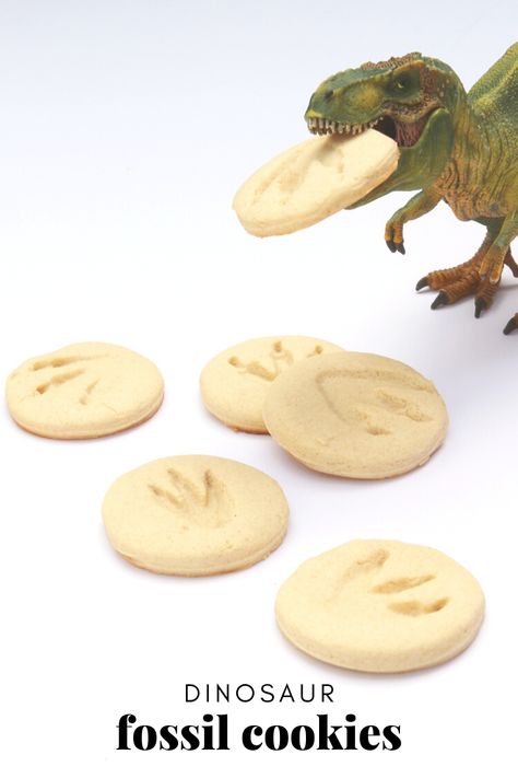 Fossil Cookies Dinosaur, Diy Dinosaur Cookies, Dinosaur Theme Desserts, Dinosaur Theme Food, Paleontologist Party, Sugar Cookie Dough Recipe, Diy Kids Crafts, Dinosaur Cookie, Arabic Learning