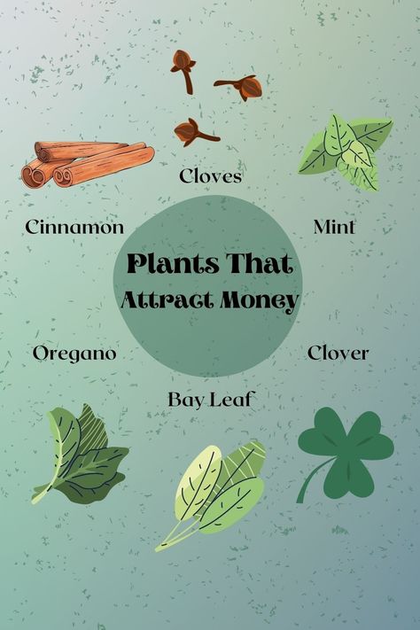 Herbs For Luck And Money, Herbs For Luck Spells, Good Luck Herbs Witchcraft, Prosperity And Abundance Spell Jar, Luck Witchcraft, Spell For Luck And Money, Money Potion, Herbs That Attract Money, Herbs For Prosperity Money