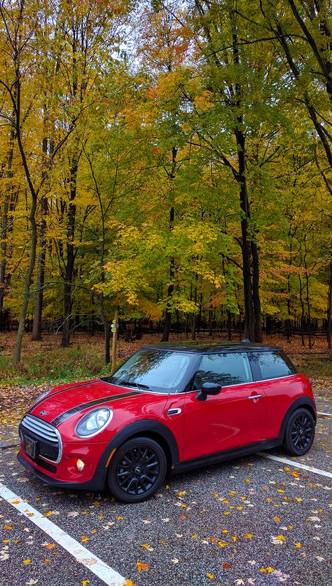 Black Mini Cooper With Red Stripes, Red Mini Cooper Convertible, Mini Cooper Aesthetic, Mini Cooper Wheels, Car Mini Cooper, Black Mini Cooper, Red Mini Cooper, Mini Cooper 2014, Mini Cooper Hardtop