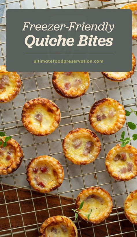 Freezer Friendly Mini Quiche, Freezer Friendly Baking, Freezer Mini Quiche, Freezable Quiche Recipes, Savory Freezer Snacks, Freezable Mini Quiche, Quiche Freezer Meal, Freezer Friendly Meal Prep Lunches, Freezer Quiche Make Ahead