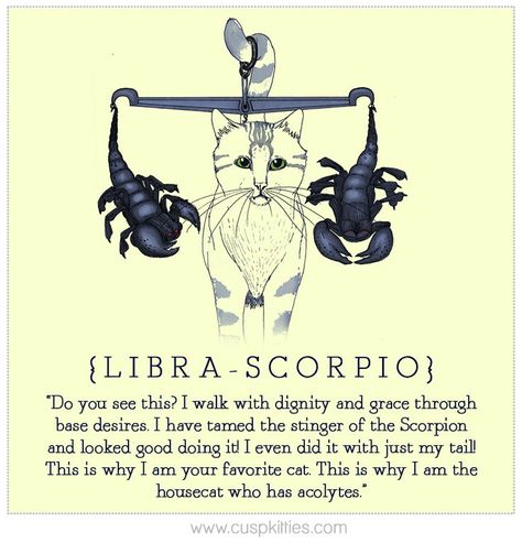 Libra-Scorpio October 22 Zodiac Sign, Libra And Scorpio Compatibility, Libra Sun Scorpio Moon, Libra And Scorpio, Libra Scorpio Cusp, Scorpio Compatibility, Zodiac Cusp, Scorpio And Libra, Libra Tattoo