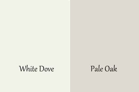 I love transforming a space and the easiest way to do that is with paint. Today we will be reviewing Benjamin Moore Pale Oak, one of BM's prettiest neutral paint colors. Pale Oak Walls White Dove Trim, Benjamin Moore Accent Wall, Pale Oak Benjamin Moore, Benjamin Moore Pale Oak, Greige Paint Color, Kitchen Cabinet Color Schemes, White Interior Paint, Basement Painting, Light Paint Colors