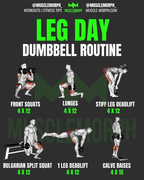 Leg Exercise With Dumbell, Leg Exercises For Men Gym, Lower Dumbbell Workout, Db Only Leg Workout, Lower Body Dumbbell Workout Men, Workout Programs With Dumbbells, Mens Dumbell Workout, Leg Dumbell Workout For Men, Dumbell Legs Workout