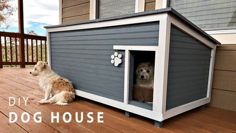 How to Build a Gate for a Fence and Boxes Around Steel Posts Diy Insulated Dog House, Large Dog House Plans, Cheap Dog Houses, Building A Gate, Pallet Dog House, Insulated Dog House, Build A Dog House, Large Dog House, Dog House Plans