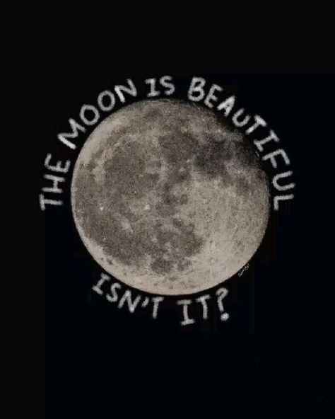 Moon Spotify Cover, Moon Core Aesthetic, Moon Aesthetic Pfp, The Moon Is Beautiful Isn't It, Moon Pfp Aesthetic, Selenophile Aesthetic, Black Sorrow, Senior Stickers, Mooncore Aesthetic