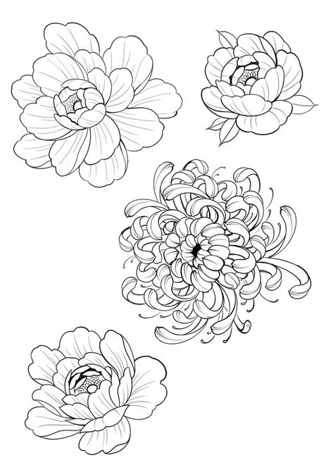 Flowers To Add To A Tattoo, Irezumi Flower Tattoo, Flash Art Flowers, Traditional Flash Art Tattoo, Japan Flower Drawing, Hand Poke Flower Tattoo, Different Types Of Flowers Tattoos, Chrysanthemum Flower Tattoo Design, Chrysanthemum Tattoo Outline