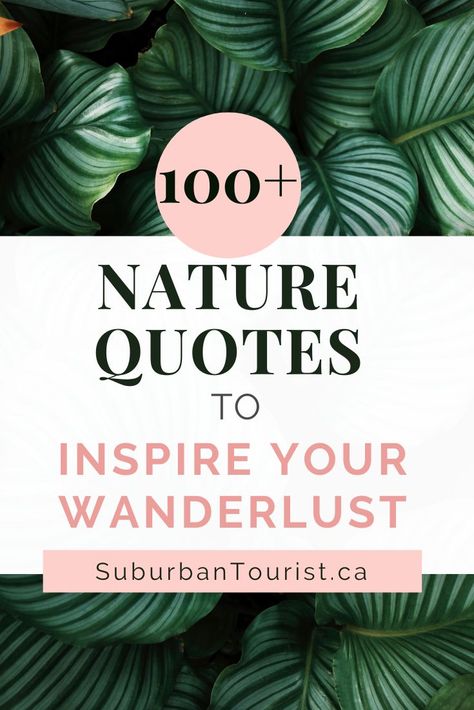 Over 100 Inspirational Nature Quotes. Nature Quotes Tattoo, Nature Travel Captions, Wilderness Quotes Wild Women, Outdoor Quotes Nature Inspiration, Wildlife Captions For Instagram, Tree Quotes Inspirational, Lost In Nature Quotes, Outdoor Quotes Nature, Nature Sayings