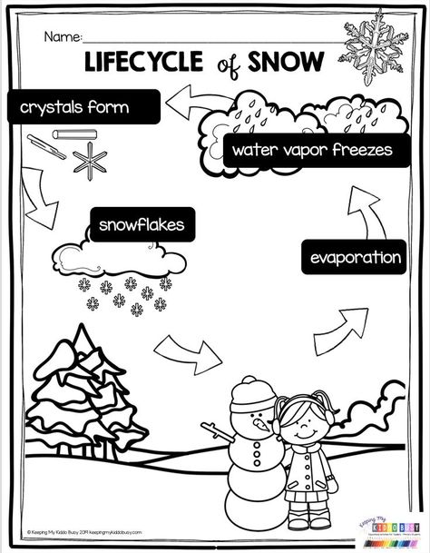 Lifecycle of Snow - all about how snow is made - curious about snow for kindergarten and first grade science - evaporation - water vapor - snowflakes - crystals - print FREE activities - freebie printables to teach all about winter and snow #kindergarten #firstgrade #kindergartenscience Winter Science Activities, Winter Science, Winter Unit, 1st Grade Science, Crystals Print, First Grade Science, Snow Activities, Water Vapor, Winter Classroom