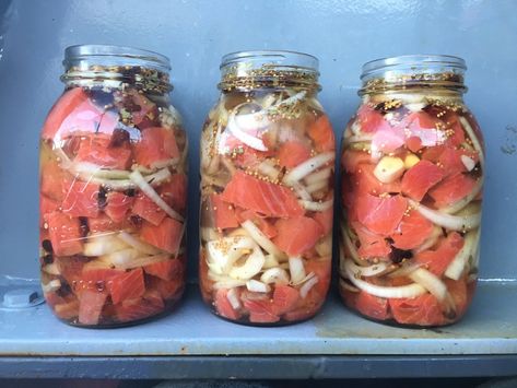 Pickled Fish Recipe, Pickled Meat, Salmon Sisters, Pickled Fish, Canned Salmon Recipes, Recipe Salmon, Canning Pickles, Can Salmon, Holistic Recipes