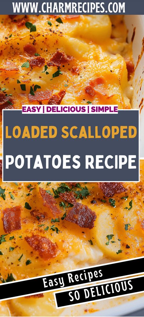 Recipe Scalloped Potatoes, Scalloped Potatoes And Bacon, Breakfast Scalloped Potatoes, Loaded Scalloped Potatoes Recipes, Horseradish Scalloped Potatoes, Oven Baked Scalloped Potatoes, Potato And Cream Cheese Recipes, Scalloped Potatoes For A Large Crowd, The Best Scalloped Potatoes Ever