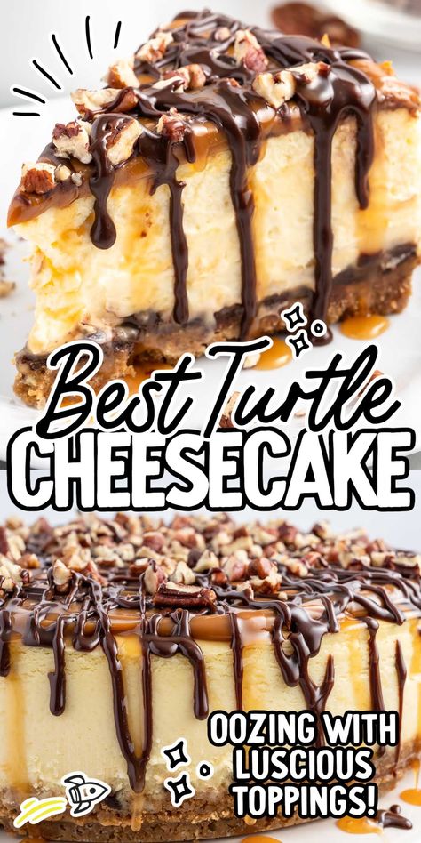 Cream Cheese Turtle Cake, Chocolate Caramel Pecan Cheesecake, Turtle Brownie Cheesecake, No Bake Turtle Cheesecake, Ultimate Turtle Cheesecake Recipe, Turtle Cheesecake Recipe, Chocolate Caramel Cheesecake, Thanksgiving Cheesecake, Yummy Nummies