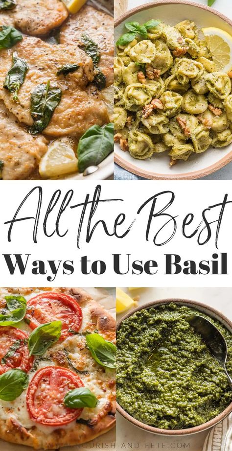 Basil is the ultimate herb: a little sweet, a little savory, totally vibrant, and the easiest to grow at home, regardless of whether you have a big space or not. If you are lucky enough to have more basil than you know what to do with, read on for some ideas to take your basil usage beyond pesto and into creative, new, and delicious territory. Food With Basil, What To Put Pesto On, Dishes With Pesto, Basil Recipes Healthy, Basil Recipes Dinner Ideas, Recipes Using Basil, Basil Dishes, Sweet Basil Recipes, Recipes With Fresh Basil