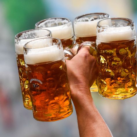 Everything You Need to Know About Oktoberfest Beers (And Which Ones to Drink) International Beer Day, Beer Photos, Beer Hall, Oktoberfest Beer, American Beer, Beer Day, Beer Keg, Wheat Beer, Lager Beer