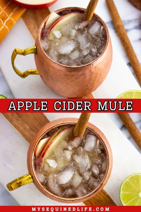 An apple cider mule in a frosty copper mug garnished with apple slices and a cinnamon stick. Fall Martini Recipes Vodka, Vodka Mule Recipe, Fall Martinis Recipes, Apple Cider Drinks Alcohol, Cider Alcohol Drinks, Apple Cider Alcohol, Friendsgiving Recipe, Apple Cider Mule, Cider Mule