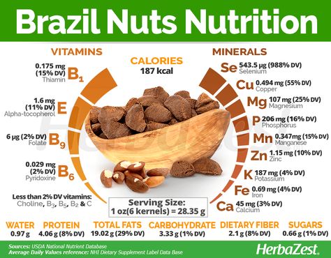 Brazil Nuts Benefits, Nuts Nutrition, Nut Benefits, Brazil Nut, Food Health Benefits, Brazil Nuts, Organic Diet, Fruit Benefits, Protein Rich Foods