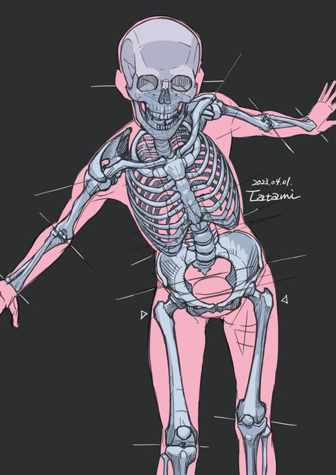 Anime Skeleton, Human Skeleton Anatomy, Anatomy Bones, Skeleton Anatomy, Skeleton Drawings, Anatomy Tutorial, Human Anatomy Drawing, Human Skeleton, Human Figure Drawing