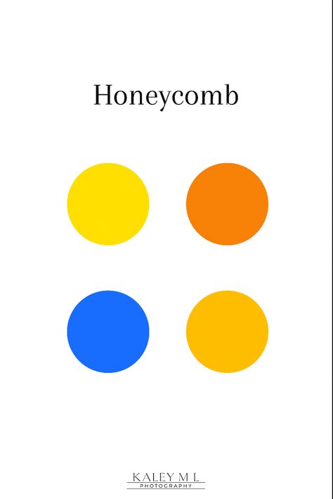 Color Palette Cobalt Blue, Color Palette With Cobalt Blue, Orange Yellow Blue Color Palette, Cobalt Blue Color Palette, Orange Hex, Ambassador Bridge, Palette Logo, Jester Outfit, Bright Navy Blue