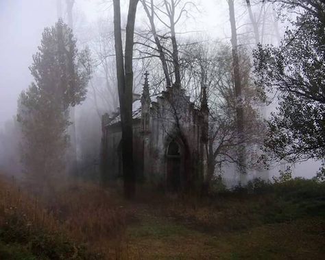 Abandoned chapel in a foggy cemetery. Foggy Cemetery, Abandoned Church, Creepy Images, Spooky House, Abandoned House, Southern Gothic, Sam Winchester, The Villain, House In The Woods