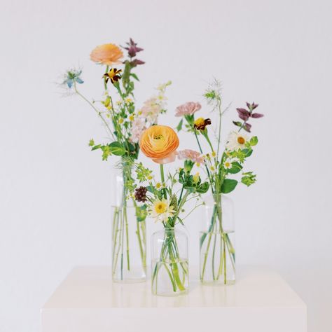 Wildflower Wedding Flowers | Affordable Flower Options in CO Spring Wildflower Wedding Theme, Wildflower Centerpiece Wedding, Wildflower Wedding Flowers, Bell Shaped Flowers, Wildflower Centerpieces, Wildflower Wedding Theme, Wedding Options, Spring Wildflowers, Wedding Flowers Summer