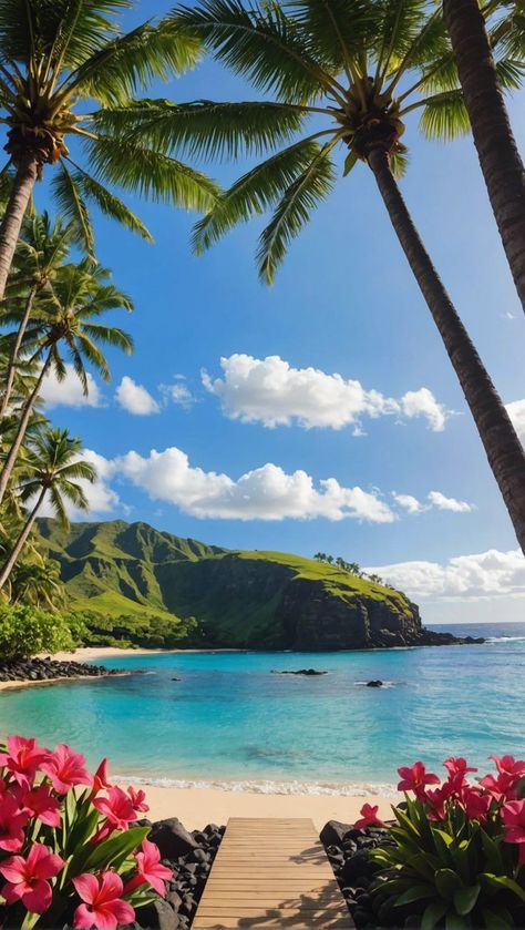 Hawaii Landscape Wallpaper, Beautiful Islands Paradise, Cute Hawaii Pictures, Hawaiian Pictures, Pictures Of Hawaii, Hawaii Beach Aesthetic, Hawaii Background, Hawaiian Wallpaper, Summer In Hawaii