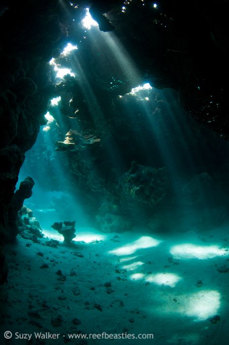 Underwater Caves, Bike Travel, Sea Cave, Poses References, Tumblr Wallpaper, Underwater Photography, Underwater World, Ocean Life, Pretty Places