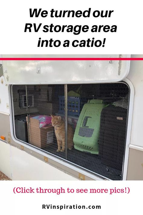 We created a catio for our cat under our RV using screen protector panels. Read the article for more pics! | #RVingwithcats #RVingwithpets #RVlife #RV Cat Rv Ideas, Camper With Cats, Rv Pet Hacks, Rv Cat Ideas, Long Term Rv Camping Setup, Rv Cat Tree, Cat Rv Living, Rv Living With Pets, Rv Cat Litter Box Ideas