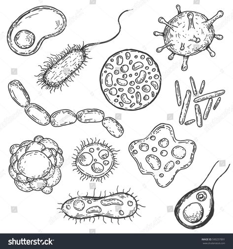 Set of form virus, cell, bacteria or microbe in hand drawn vintage style. Retro vector illustration isolated on white background. #Ad , #ad, #microbe#bacteria#drawn#hand Cool Science Tattoos, Biology Coloring Pages, Bacteria Tattoo, Microorganisms Art, Microbiology Tattoo, Biology Sketches, Bacteria Drawing, Cells Drawing, Bacteria Art