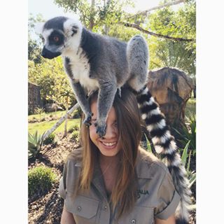 Zoology Career, Vet School Motivation, Irwin Family, Crocodile Hunter, Bindi Irwin, Wildlife Biologist, Vet Medicine, Wildlife Rehabilitation, Zoo Keeper