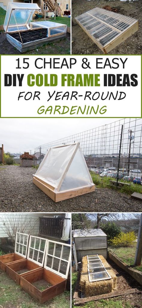 15 Cheap & Easy DIY Cold Frame Ideas for Year-Round Gardening Cold Frame Ideas, Diy Cold Frame, Cold Frame Diy, Cold Frame Gardening, Cheap Greenhouse, Best Greenhouse, Vegetable Garden Raised Beds, Building A Raised Garden, Indoor Greenhouse