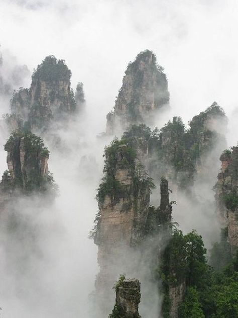 Zhangjiajie Stone Forest, China Chinese Mountains, Stone Forest, Huangshan, Asian Landscape, Zhangjiajie, Scenic Photography, Chinese Landscape, Beautiful Travel, Vacation Photos