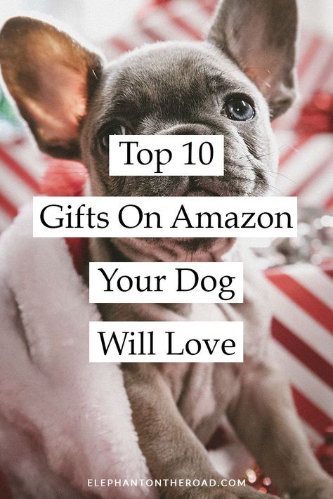 Dog Christmas Present Ideas, Dog Christmas Presents Gift Ideas, Dog Birthday Gift Basket, Dog Birthday Gifts Ideas, Birthday Gifts For Dogs, Christmas Gifts For Dogs Ideas, Dog Gifts For Christmas, Dog Present Ideas, Dog Christmas Gift Ideas