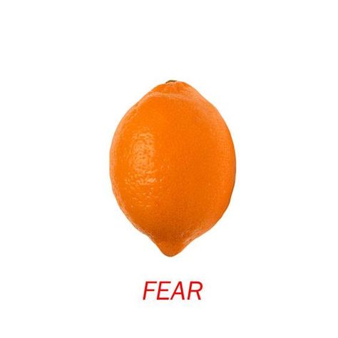 Orange you glad I didn't say lemon? Surreal Memes, Quality Memes, Orange You Glad, Visual Representation, Funny Me, Funny Laugh, Reaction Pictures, Mood Pics, Dankest Memes