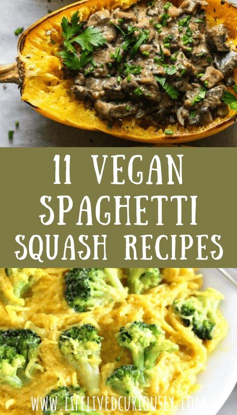 Here are the best 11 vegan spaghetti squash recipes! This is the healthy alternative to regular pasta - packed full of veggies and dairy-free. This list has Asian, Mexican, and Italian cuisines/flavors. These are perfect for a hearty and healthy vegetarian dinner in the fall and winter. Non Dairy Spaghetti Squash Recipes, Vegan Spaghetti Squash Recipes Healthy, Vegan Stuffed Spaghetti Squash, Spaghetti Squash Vegan Recipes, Spaghetti Squash Recipes Dairy Free, Spaghetti Squash Recipes Vegetarian, Vegan Spaghetti Squash Recipes, Easy Spaghetti Squash Recipes, Vegetarian Spaghetti Squash Recipes