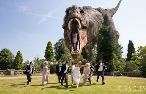 17 Terrifyingly Photoshopped Wedding Photos Dinosaur Wedding Theme, Dinosaur Wedding, Funny Wedding Pictures, Boo Thang, Holy Matrimony, Mexican Theme, Funny Wedding Photos, Creative Wedding Photo, Beautiful Beach Wedding