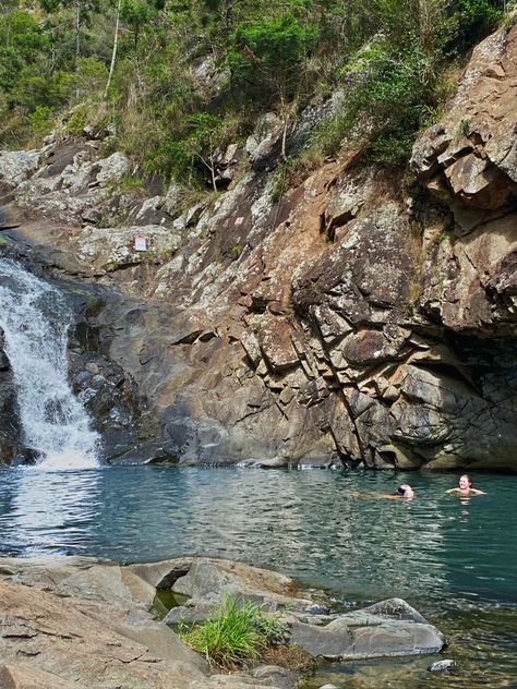 Cedar creek falls, waterfalls, freshwater creek, Mt Tamborine, creek Gold Coast, Gold Coast water falls Creek Swimming, Cedar Creek Falls, Waterfall Swimming, Mt Tamborine, Silly Words, Swimming Hole, Cedar Creek, Swimming Holes, Summer Bucket Lists