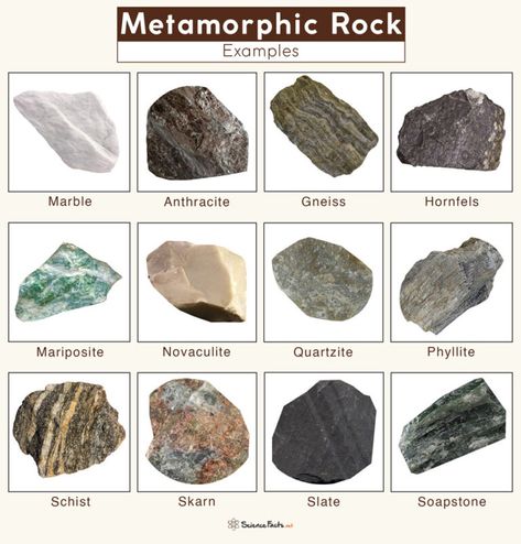 Metamorphic Rocks Examples, Rock Identification Pictures, Rocks Aesthetic, Sedimentary Rock Formation, Rock Drawing, Types Of Rocks, Mineral Identification, Color Definition, Rock Identification