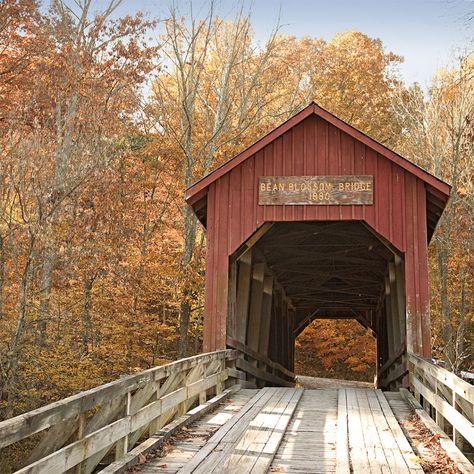 Fall in Brown County - Brown County, Indiana Parke County Indiana, Fall In Indiana, Indiana Aesthetic, Indiana Vacation, Fall Drive, Santa Claus Indiana, Nashville Indiana, Brown County Indiana, Farmhouse Cafe