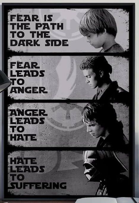 Star Wars Images Printable, Star Wars Poster Aesthetic, Fear Leads To Anger, Star Wars Planets, Star Wars Painting, Anakin Vader, Star Wars Spaceships, Star Wars Background, The Fallen Angel