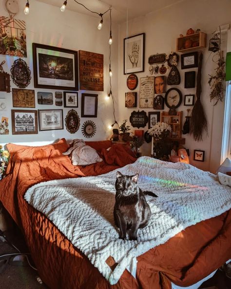 Black cat on burnt orange bed with gallery walls behind him. Autumn Room, Halloween Bedroom Decor, Fall Room Decor, Fall Bedroom Decor, Halloween Bedroom, Halloween Room Decor, Deco Studio, Fall Bedroom, Cozy Room Decor